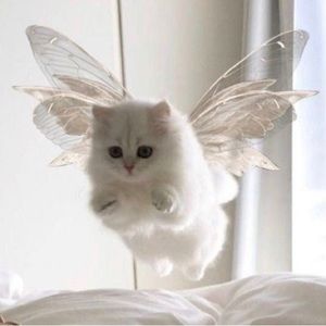 Meet your Posher, Minuette